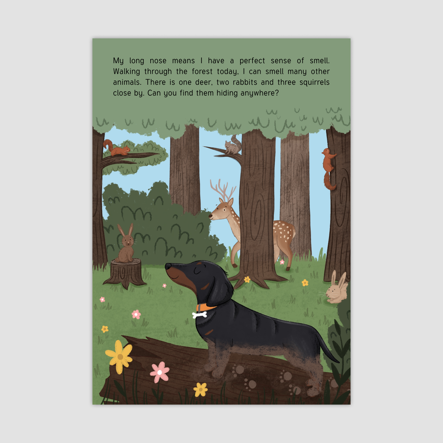 Little Legs, Long Nose: A day with Monty the Miniature Dachshund