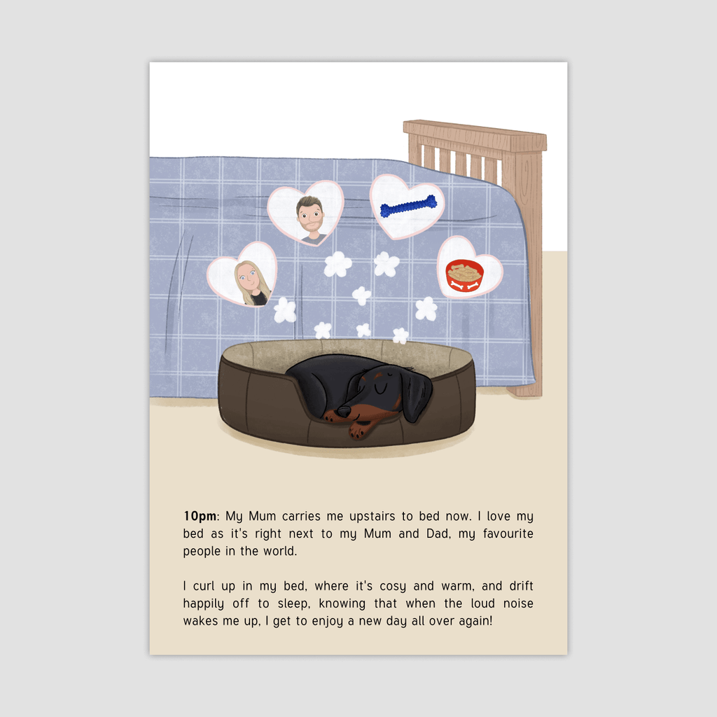 Little Legs, Long Nose: A day with Monty the Miniature Dachshund